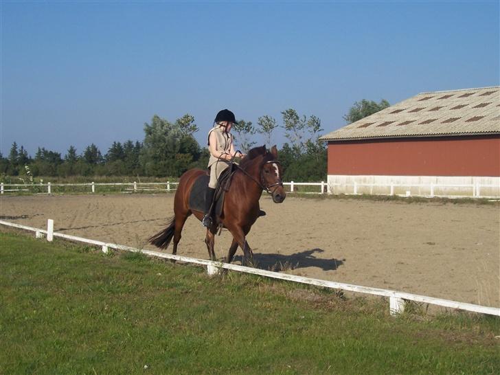 New Forest Christell ..:RIP:.. :'/ billede 3