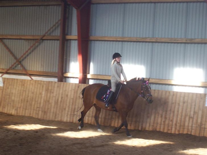 New Forest Christell ..:RIP:.. :'/ billede 4
