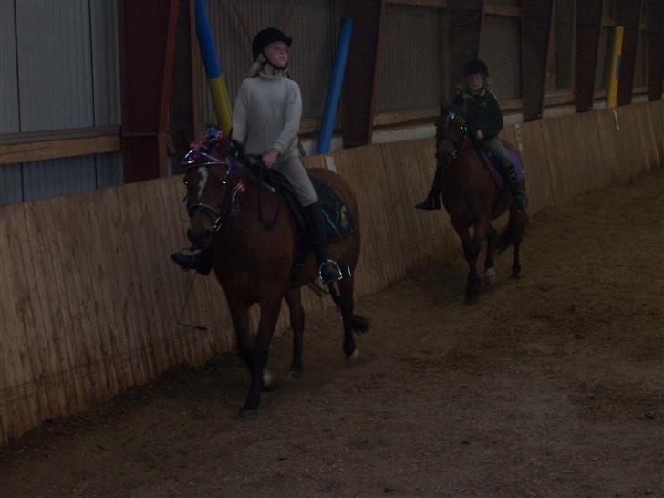 New Forest Christell ..:RIP:.. :'/ billede 5