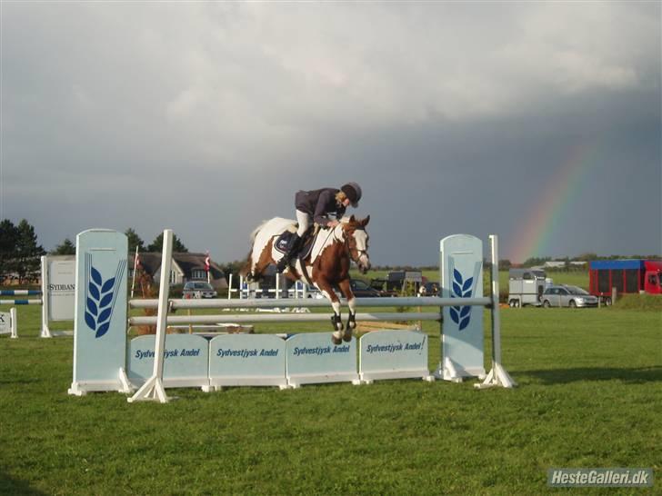 Pinto Caroline - sjm i guldager 08. vandt 3 plads. og i 07 vandt jeg 2 plads:´) billede 11