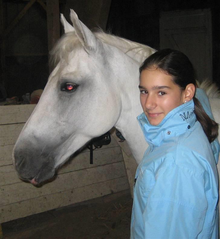 New Forest Firfod Aida billede 16