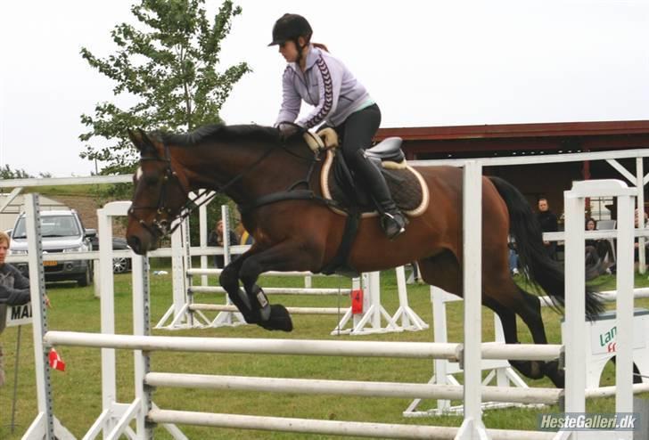 Trakehner Rødhøj's Chapman(<3) - Springkursus på SPS August 08, LB bane til "stævne" som afslutning :] <3 billede 11