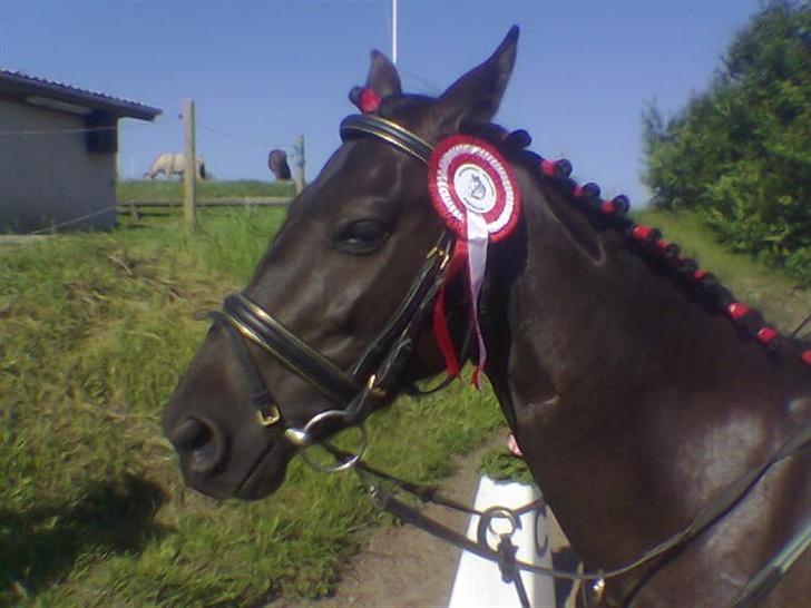 DSP Lady - Lady med sin præmie xD billede 20