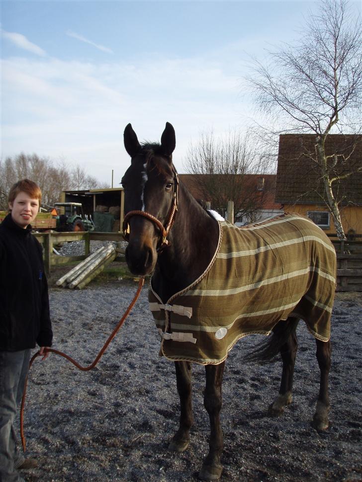Anden særlig race R.I.P. Diego - Diego og Line billede 13