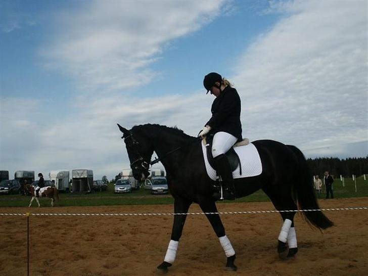 Anden særlig race Miss Shakur - Søhøjlands cuppen LC1 og LC2 2007 opvarmning... spørg ikk hvorfor jeg sidder som jeg gør, for jeg ved det virkeligt ikk selv... :D billede 3
