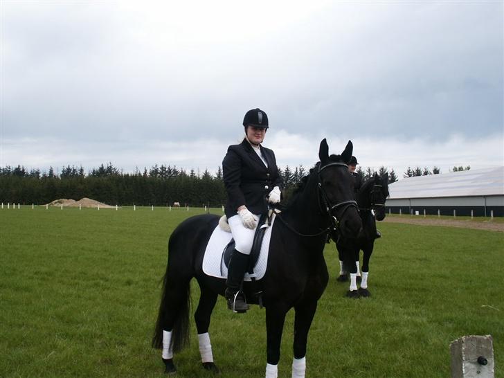 Anden særlig race Miss Shakur - Søhøjlands Cup 2007 billede 4