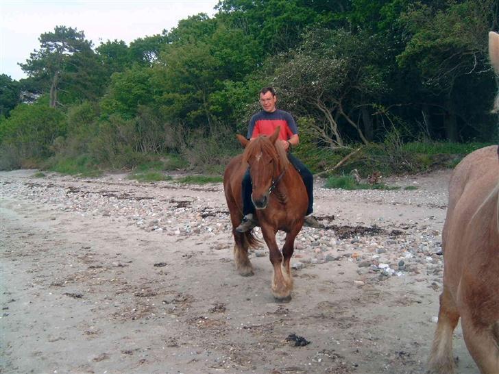 Jyde Mette har fået vinger  - der er ikke noget som en god ridetur med min far her på stranden billede 13