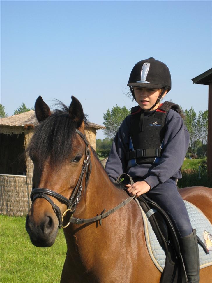 Anden særlig race Lizette billede 16