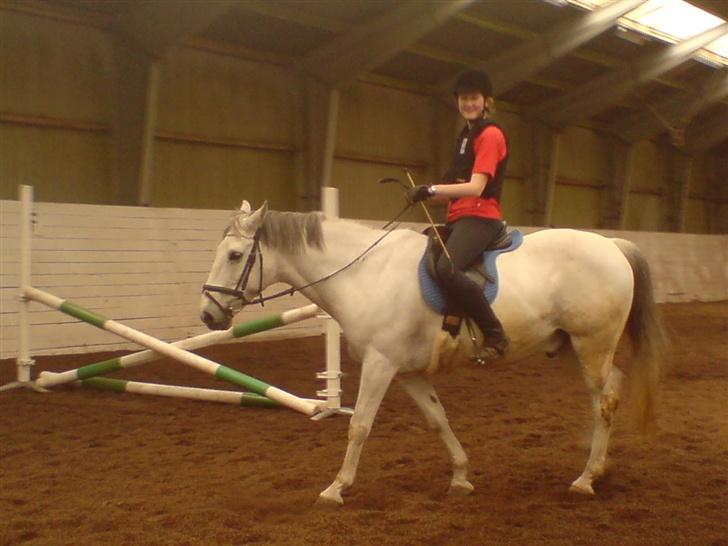Anden særlig race Cisco - Mig og Cisco oppe i hallen.. billede 12