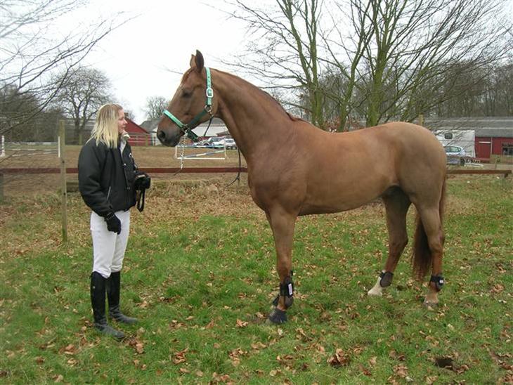 {{currentPhoto.altText}} billede {{currentPhoto.number}}