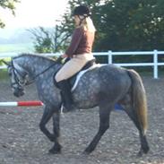 Anden særlig race Mucho