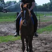 Frederiksborg Rasmus Elmkærsgaard RIP