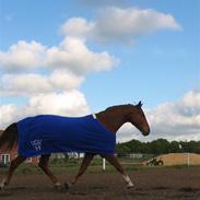 Frederiksborg Rasmus Elmkærsgaard RIP