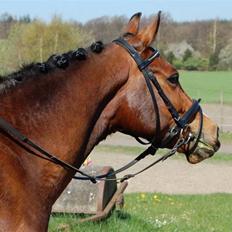 DSP Granelunds Vanity