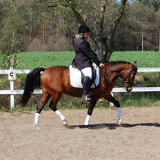 DSP Granelunds Vanity