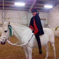 New Forest Odbjergs Pikant <3SOLGT:(