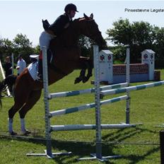 Dansk Varmblod Losell