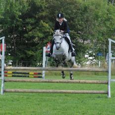 Tysk Sportspony *LONIA*