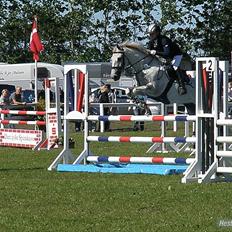 Anden særlig race Tonka  (solgt)