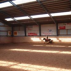 Shetlænder Josefine (død)