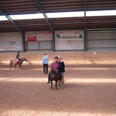 Shetlænder Josefine (død)