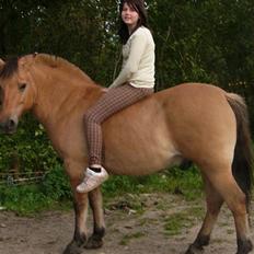 Anden særlig race Lucas<3 Solgt :(!