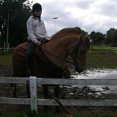 Anden særlig race Lucas<3 Solgt :(!