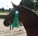 DSP Milan A.M. A-Pony<3 *SOLGT*