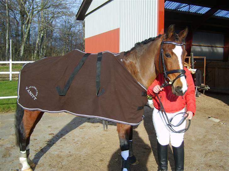 DSP Granelunds Vanity - hygge efter stævne på ÅSRK :D I´m not your princess, this ain´t our fairytale, I´m gonna find someone someday, who might actually treat me well, this is a big world, that was a small town, all in my reaview mirror dissapearing now. billede 4