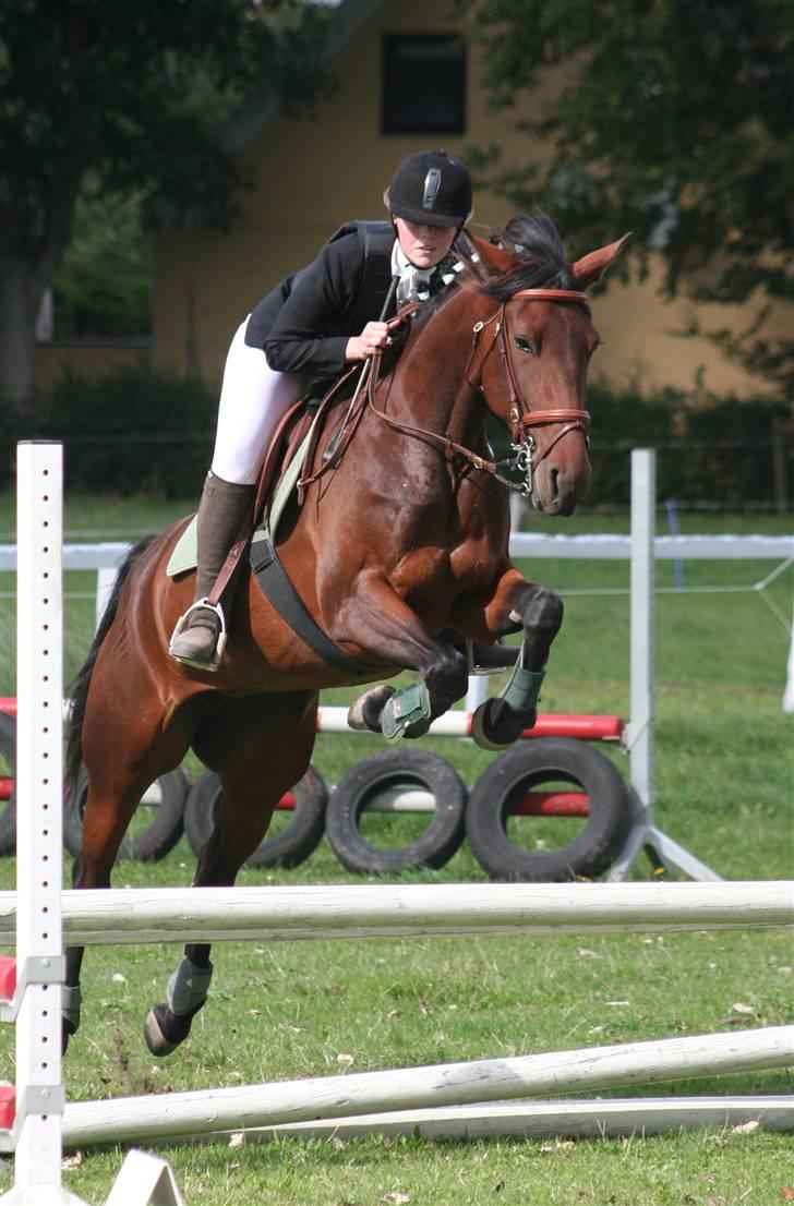 Traver Medea Fønix R.I.P. - *Foto Picola.dk* billede 2