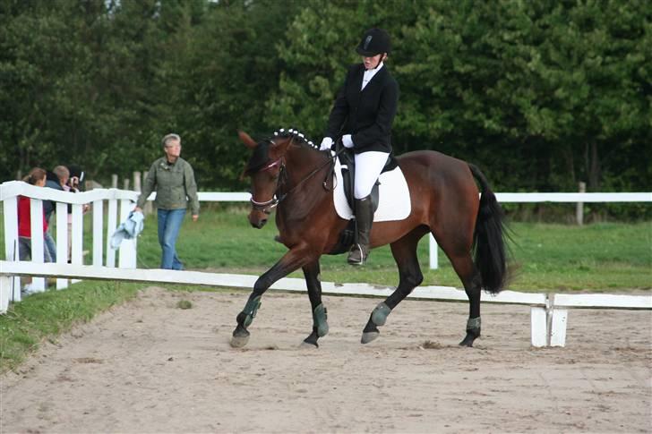 Traver Medea Fønix R.I.P. - *Foto Picola.dk* billede 3