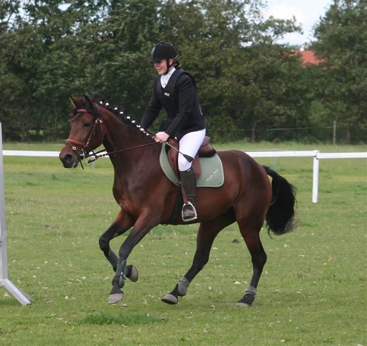 Traver Medea Fønix R.I.P. - *Foto Picola.dk* billede 6