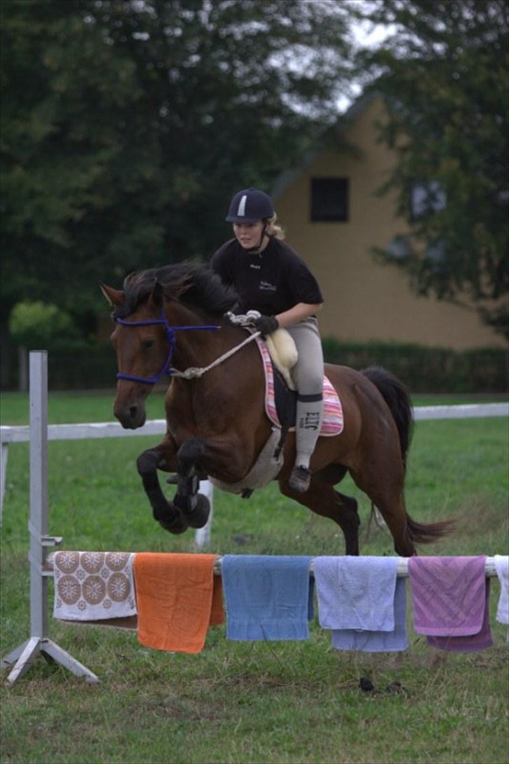Traver Medea Fønix R.I.P. - ØLR´s 30 års jubilæum *Foto Picola.dk* billede 7