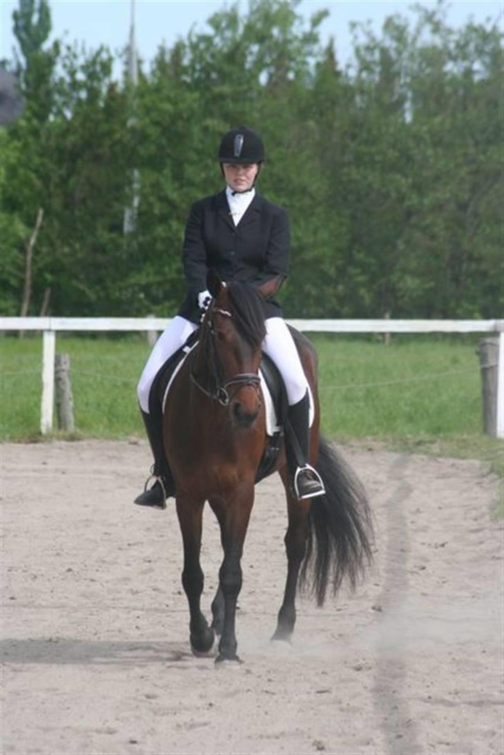 Traver Medea Fønix R.I.P. - Medea og jer til vores første stævne lørdag 17 maj 2008. Vi vandt klassen <3  billede 8