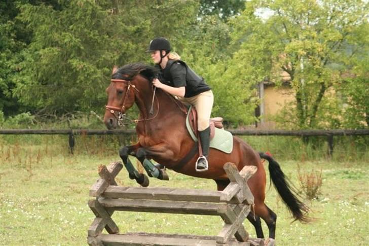 Traver Medea Fønix R.I.P. - Medea og jeg til spring på ØLR´s ridelejr ´08.  *Foto af Picola.dk * billede 10