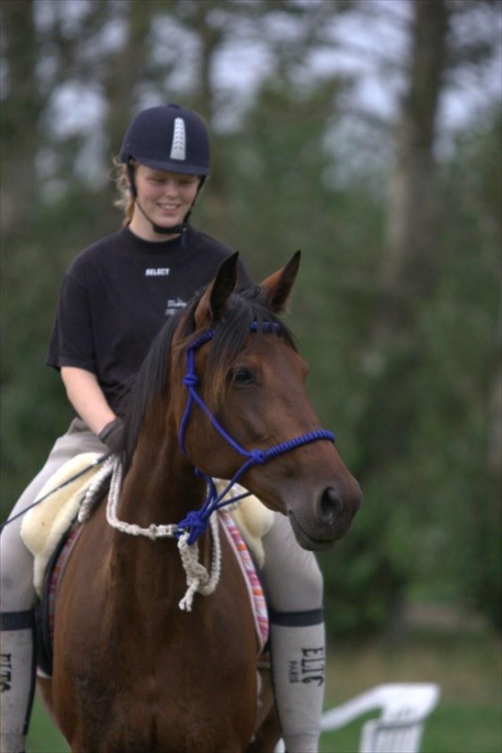 Traver Medea Fønix R.I.P. - ØLR´s 30 års jubilæum  *Foto af Picola.dk * billede 11