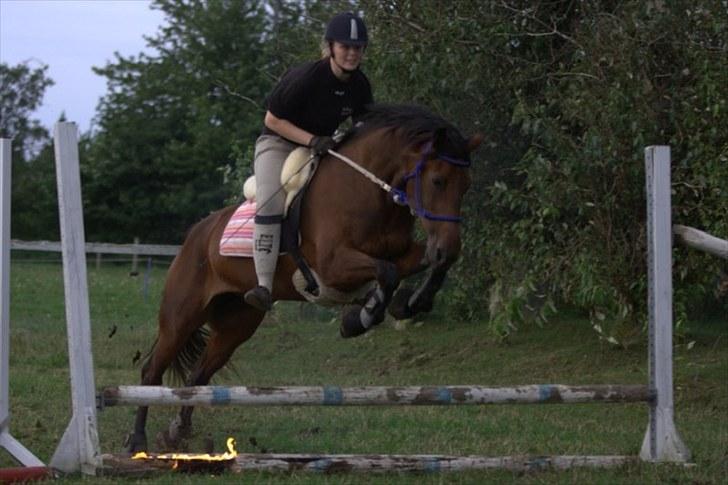 Traver Medea Fønix R.I.P. - Medea og jeg springer ild spring - august 2010 billede 12