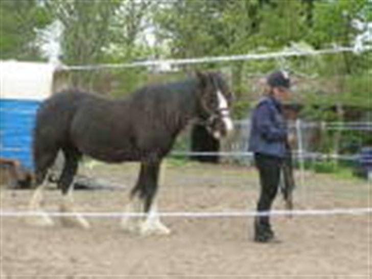 Tinker Miss Madison - Mig og Madison til tinker-Monty Roberts-kursus i maj 2007 billede 4