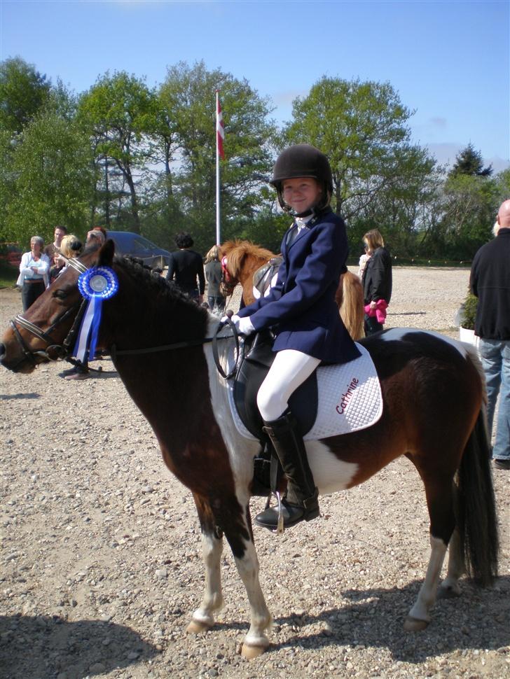 Pinto Indy  - Her er hun så med roset og det hele!! hun er bare skøn!!! ILU!<33 billede 8