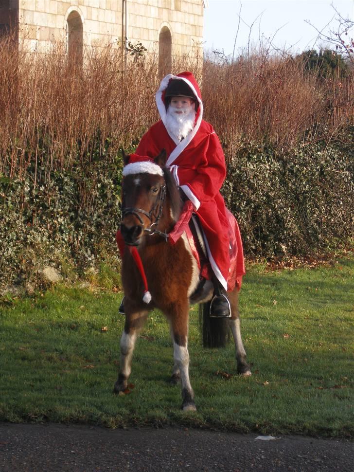 Pinto Indy  - Jule optog 2007 <3 dejlig dag billede 11