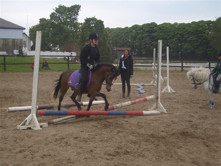 Anden særlig race Mr. Fly High  - Første gang vi springer, og se hvor fint han bøjer nakken (; iiih<3 billede 3