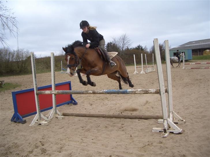 Hollandsk Sportspony Corofina - Super spring (: <33 billede 4