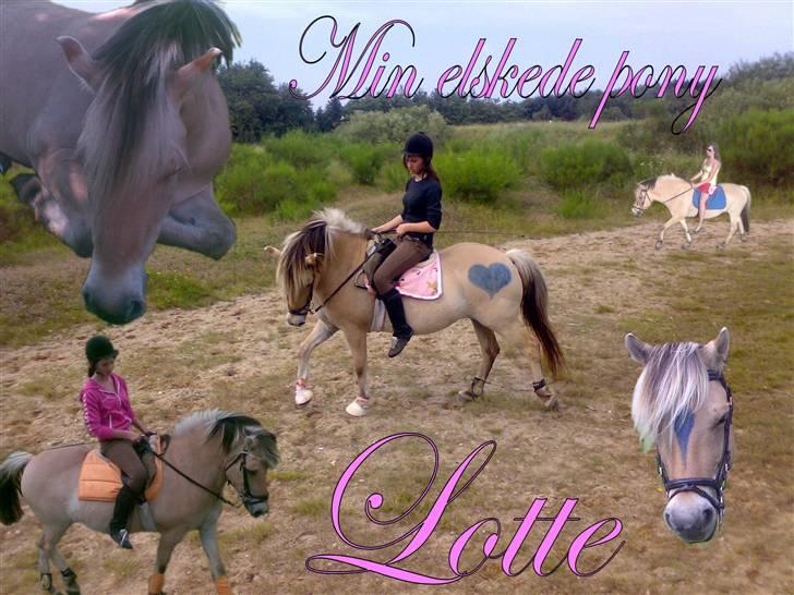 Fjordhest Lotte - Et billede af lotte jeg har lavet :b billede 3