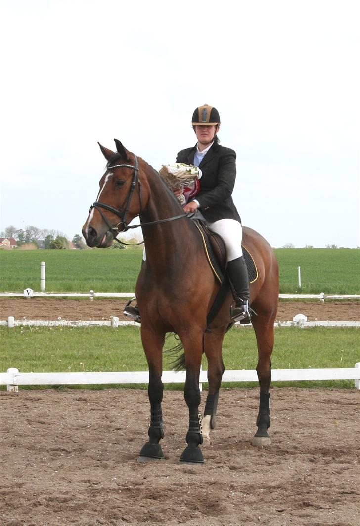 Hollandsk Varmblod Saffier - LB spring cup finale billede 4