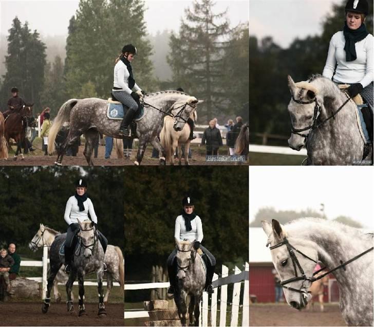Anden særlig race Tamara *UDLÅNT* - Cecilie & Tamara til elevstævne på Midtfyns Rideklub ... billede 10