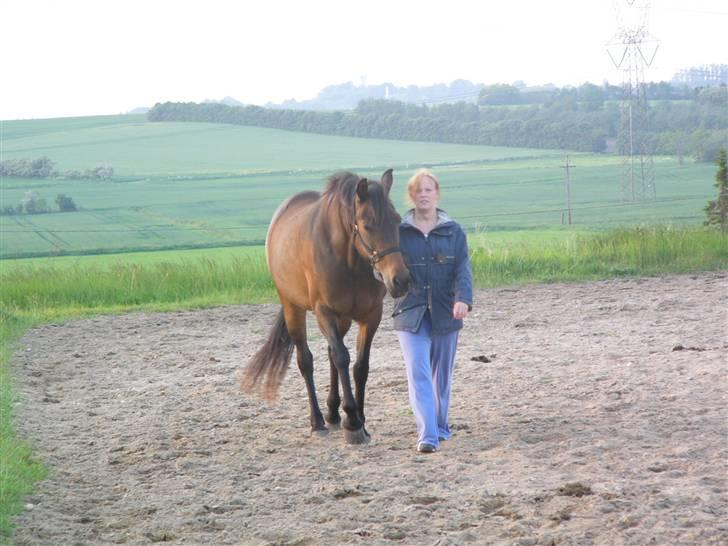 Traver Ranja Harvester billede 19