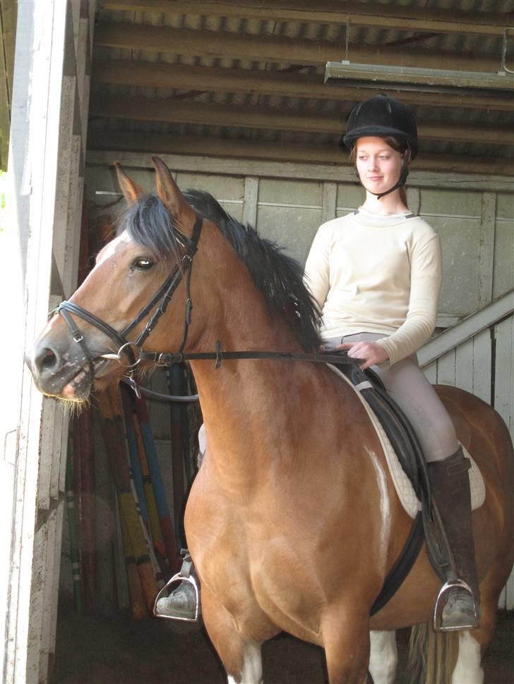 Anden særlig race Marcie *død* billede 1