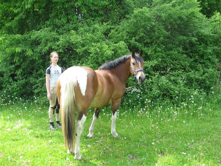 Anden særlig race Marcie *død* billede 5