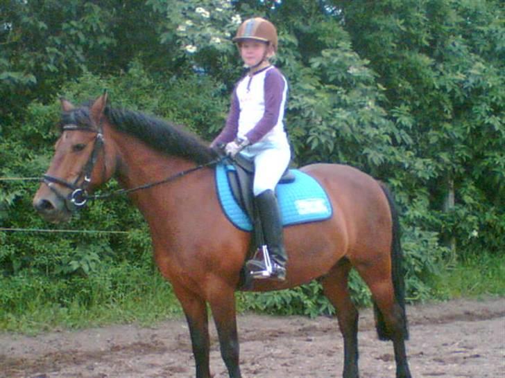 Anden særlig race Kurt ( Urt ) - Marie og Kurt prøver deres nye sadel.. billede 7