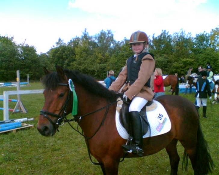 Anden særlig race Kurt ( Urt ) - Fra samme stævne billede 9